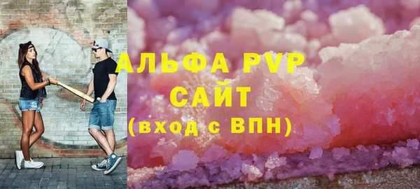 шишки Белокуриха